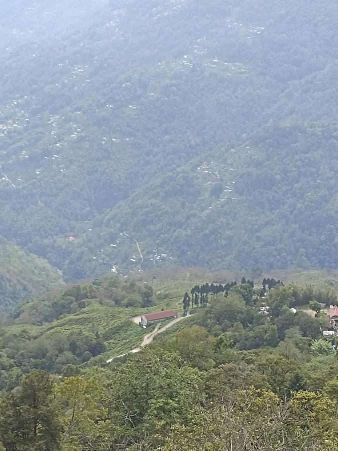 Bastola Stay Darjeeling  Extérieur photo